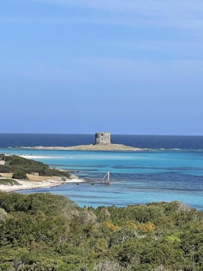 Casa vacanze Stintino vista mare